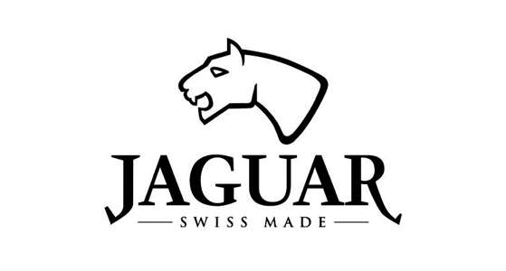 Jaguar Photo